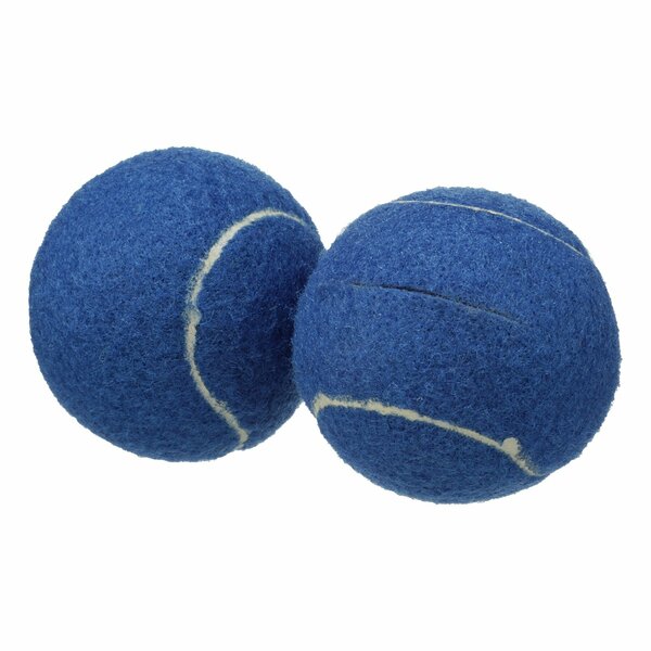 American Hospital Supply Walker Tennis Ball Glides, Blue, Pack of 2 AHSWTBGB2_PR